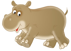 Hippo